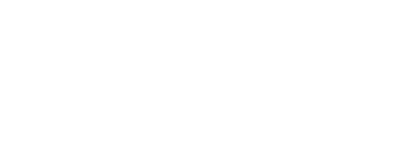 ELUSIV